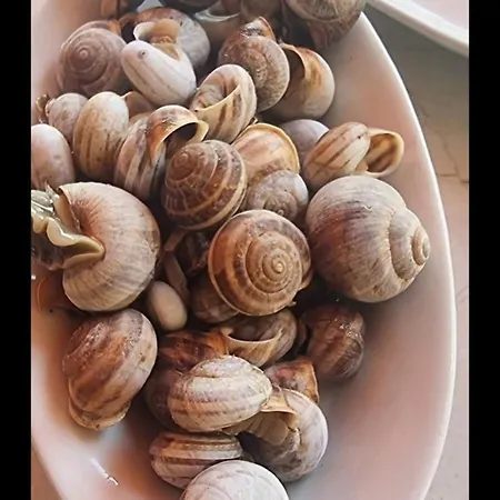 Petalmo *
