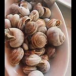 Petalmo *