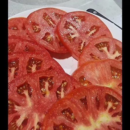 Petalmo Lejlighed *